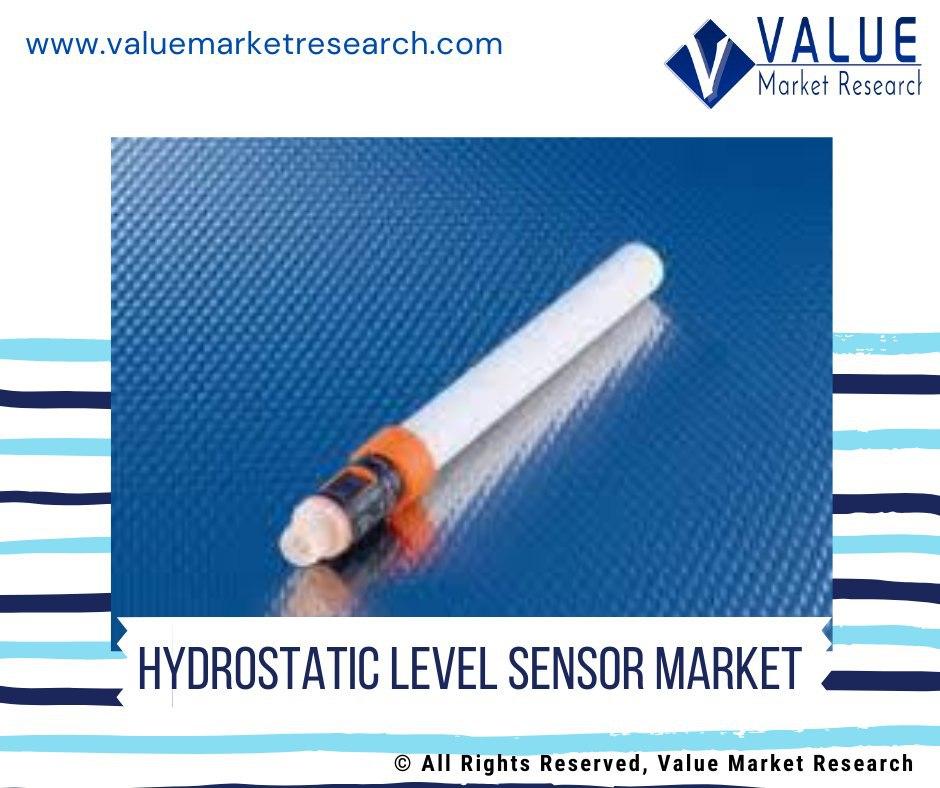 Hydrostatic Level Sensor Market Share Research Report