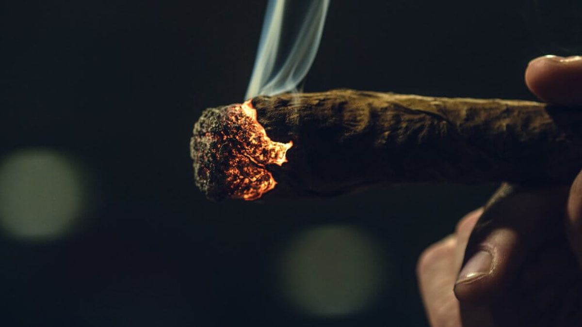 Top 15 Blunt Wraps for an Exceptional Smoking Experience