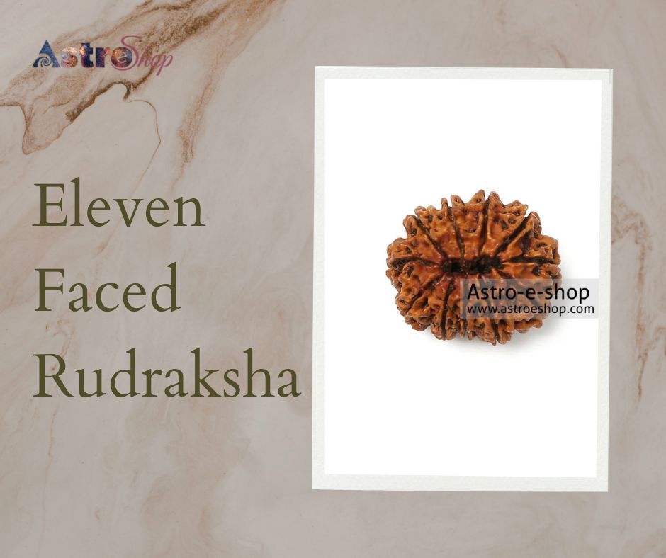 11 Faced Rudraksha