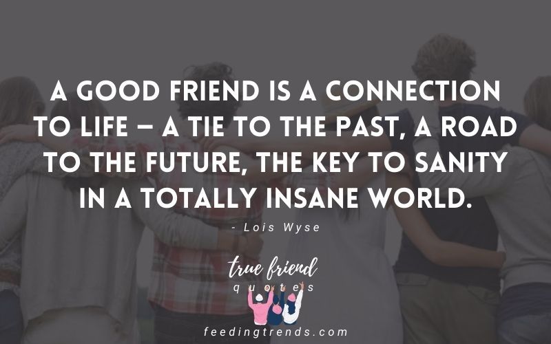 Top 30 Unbreakable Friendship Bond Quotes, by Rizwan