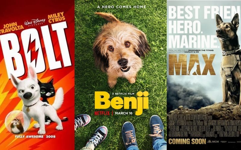 26 Dog Movies Every Animal Lover Should Watch With Popcorn