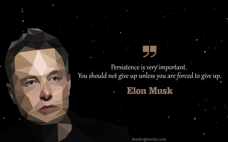 Spend elon musk s. Elon Musk quotes. Elon Musk Motivation quotes. Elon Musk обложка Life. All about Elon Musk.