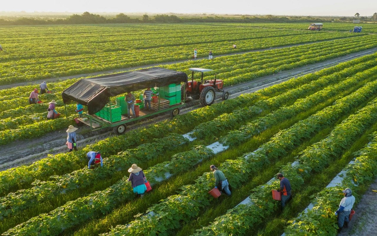 Sustainable Agriculture