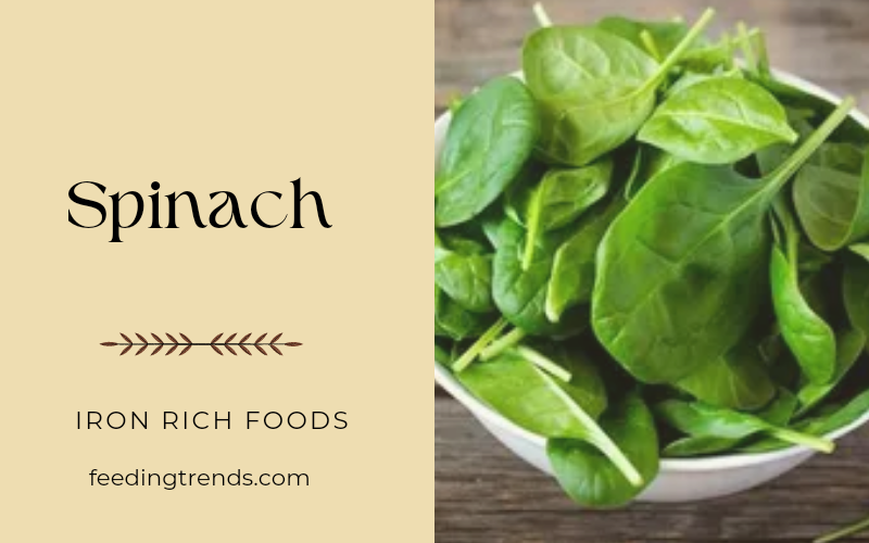 55 Iron Rich Foods to Include in Your Diet