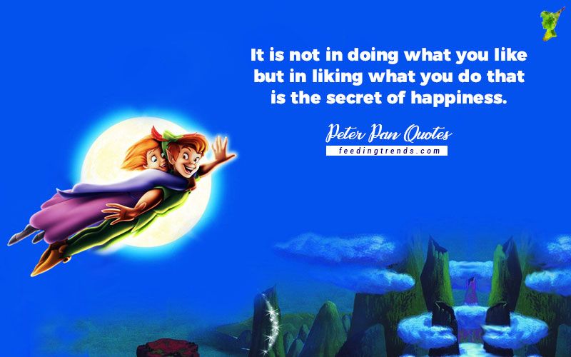 peter pan quotes about neverland