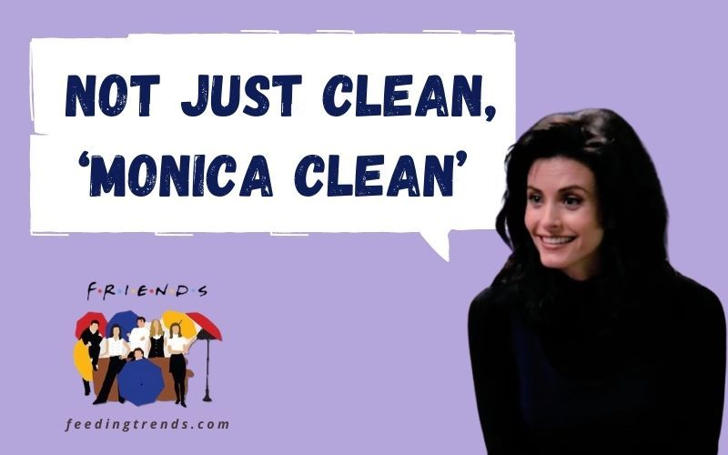monica geller cleaning