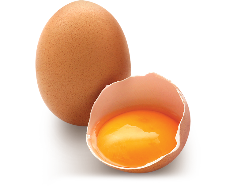 wholesale egg distributors | Egg Selling in Singapore