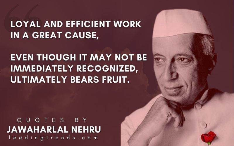 Jawaharlal Nehru Biography & Rule | Who Was India's First Prime Minister? -  Video & Lesson Transcript | Study.com