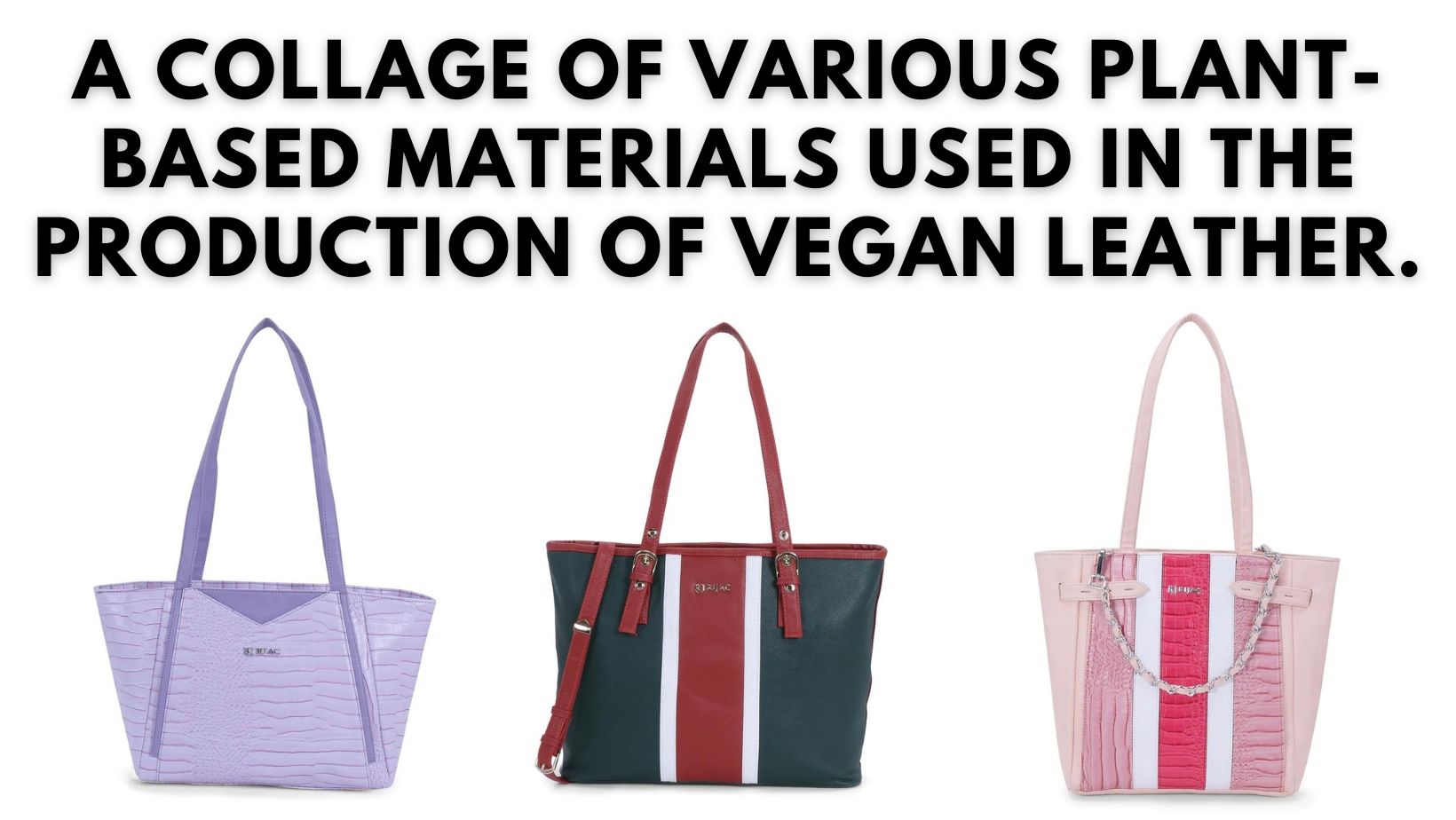 Collage of plant-based materials for vegan leather
