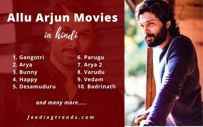 20 Allu Arjun Movies In Hindi That Are Dubbed From Telugu Movies