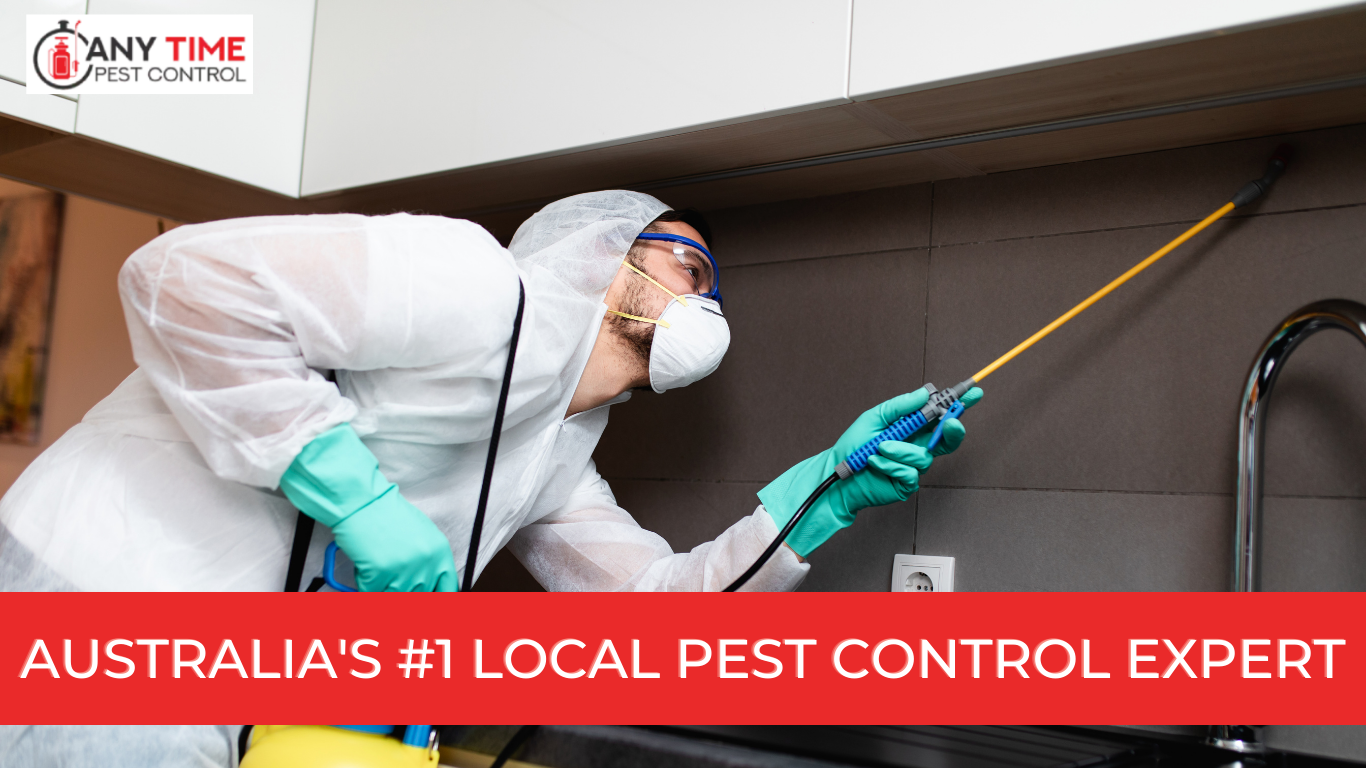 The Ultimate Guide To Pest Control: Tips And Tricks For A Home