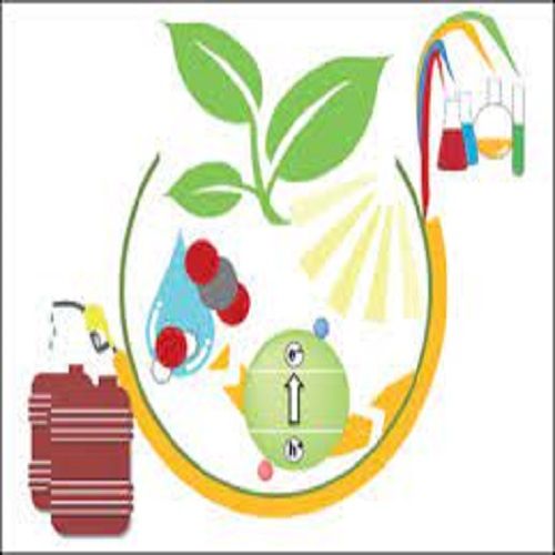 Artificial Photosynthesis Market Report Impact of Covid19