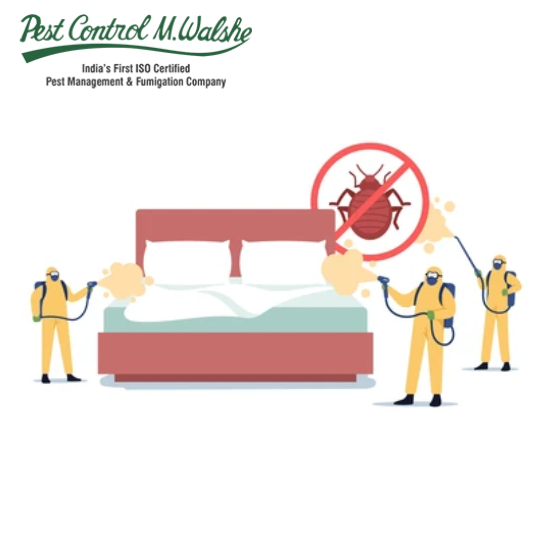 Bed Bugs Control