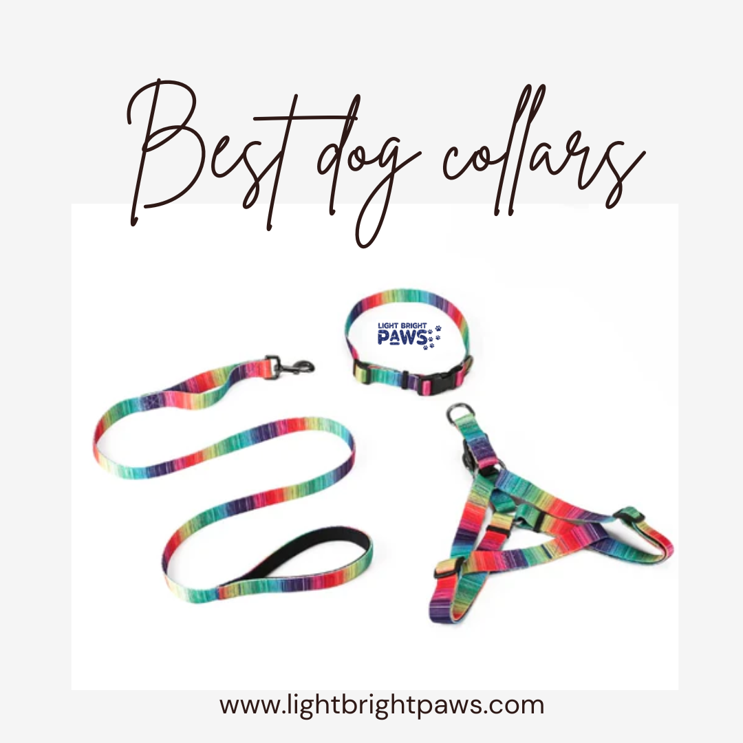 Right Collar