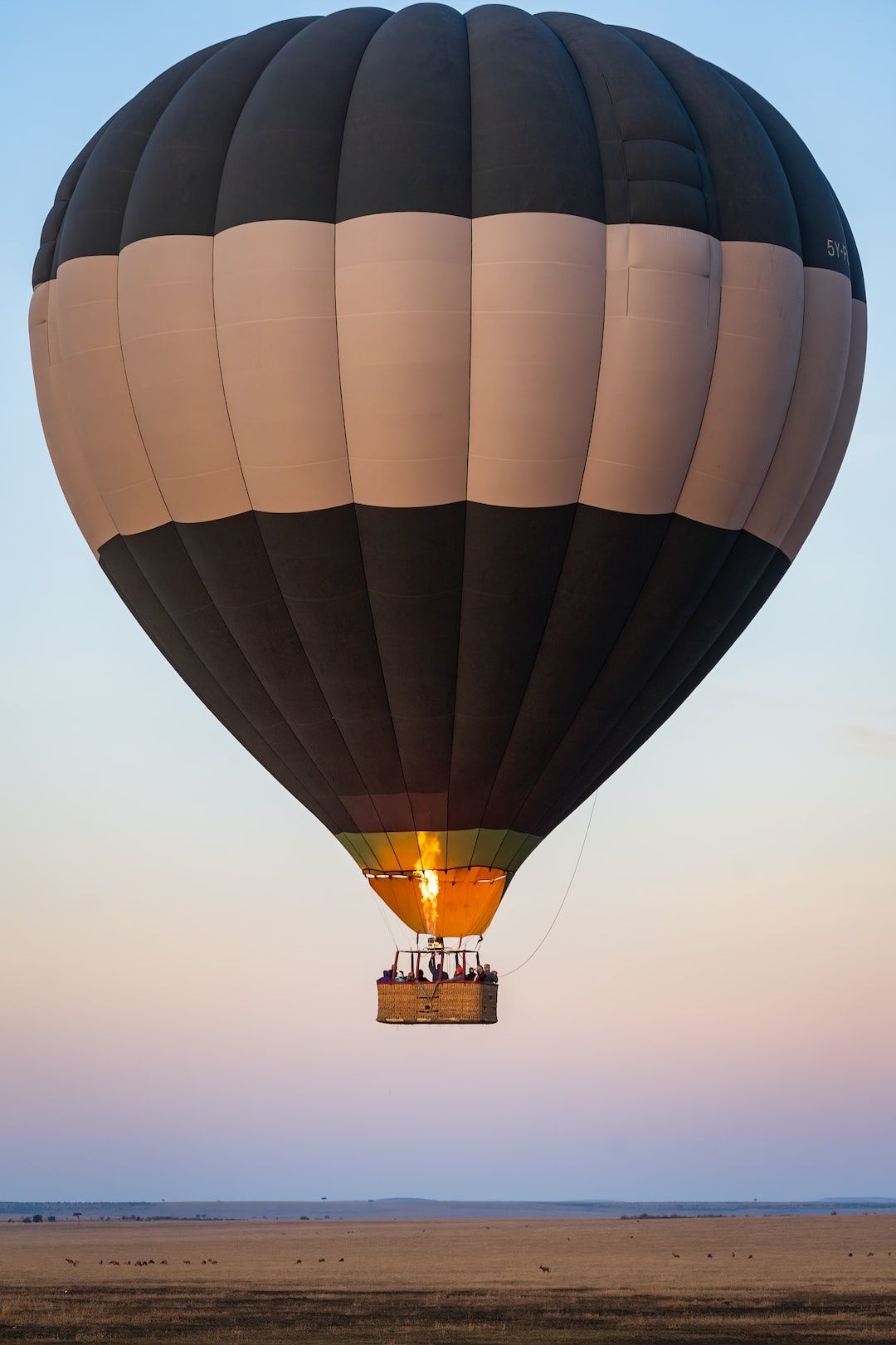 The Ultimate Guide for Hot Air Balloon in Goa