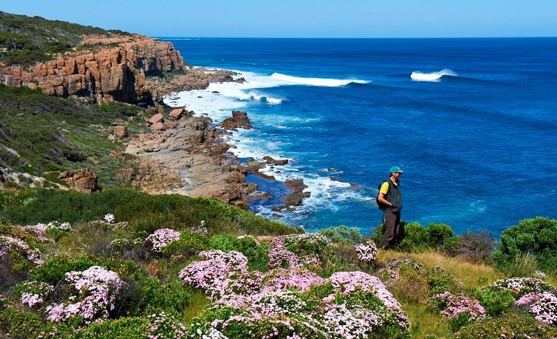 Cape to Cape Track