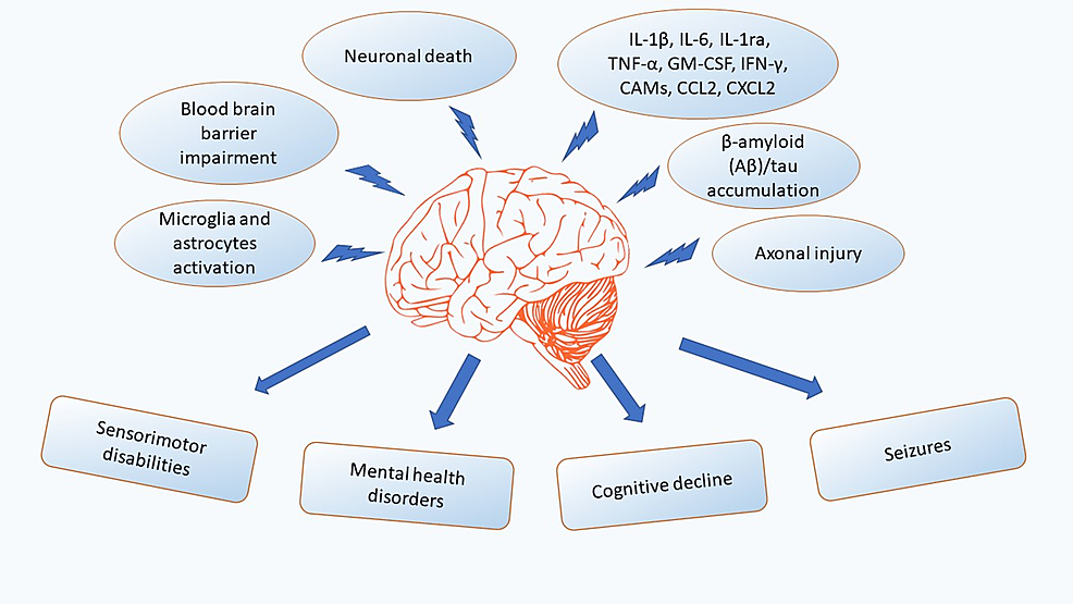 Cognitive Assessment And Training Market – Exclusive Reports