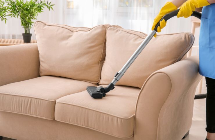 remove urine smell from leather sofa