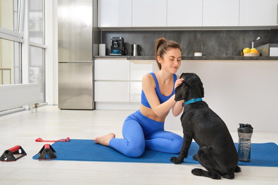 Dog Physical Therapy Exercises