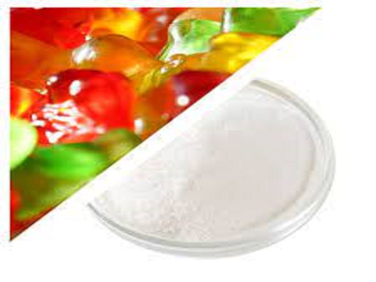 Fish Gelatin Market Industry Demand, Fastest Growth, Opportunity