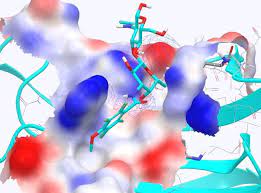 Galectin Inhibitor Therapeutics Market Demand, Growth, Analysis