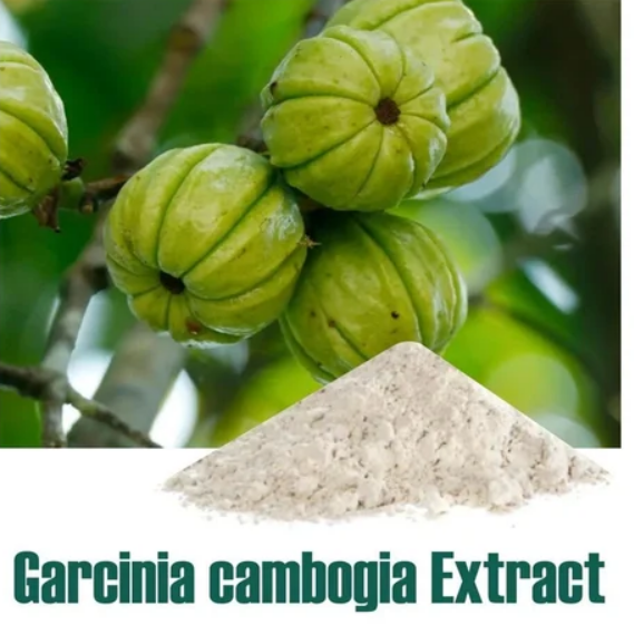 Garcinia Cambogia Extract Market Size In Depth Analysis Report