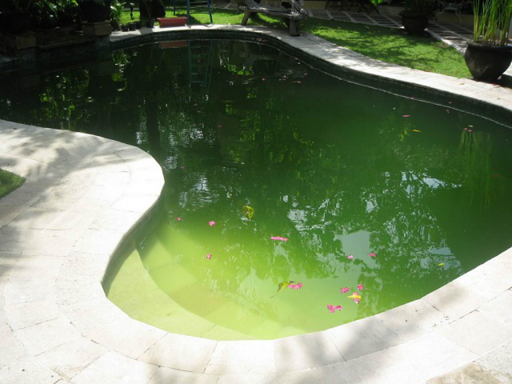 green pool 