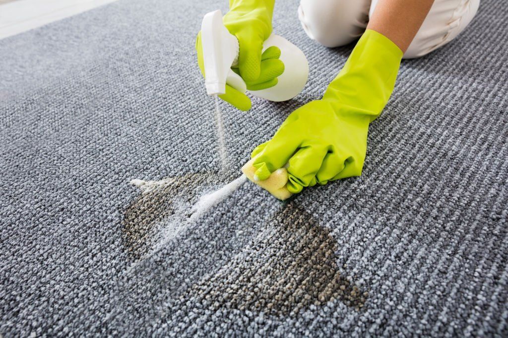 How to Remove Common Stains From Carpets A StepbyStep Guide