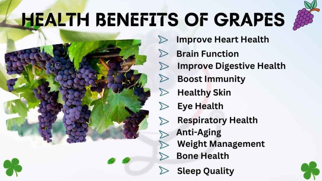 The Health Benefits of Grapes