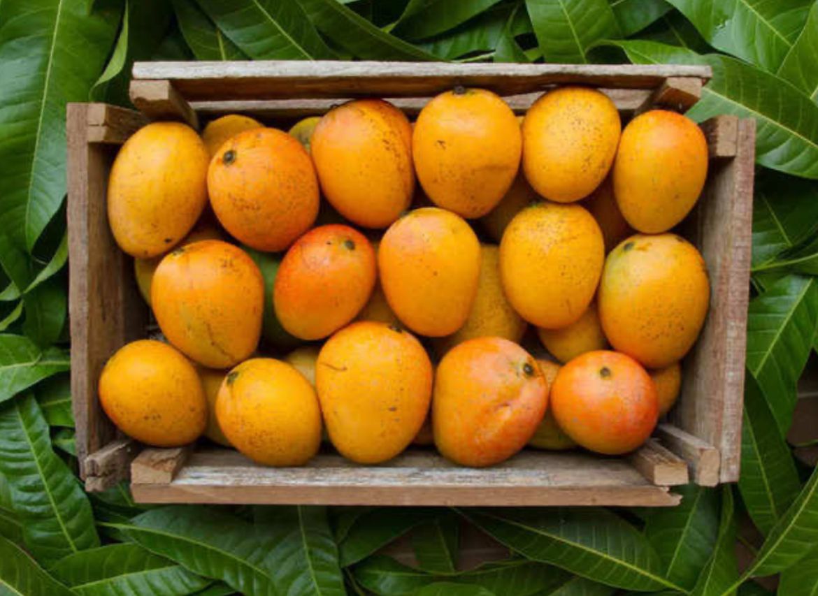 Mangoes
