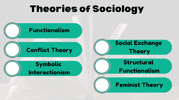 Theories in Sociology