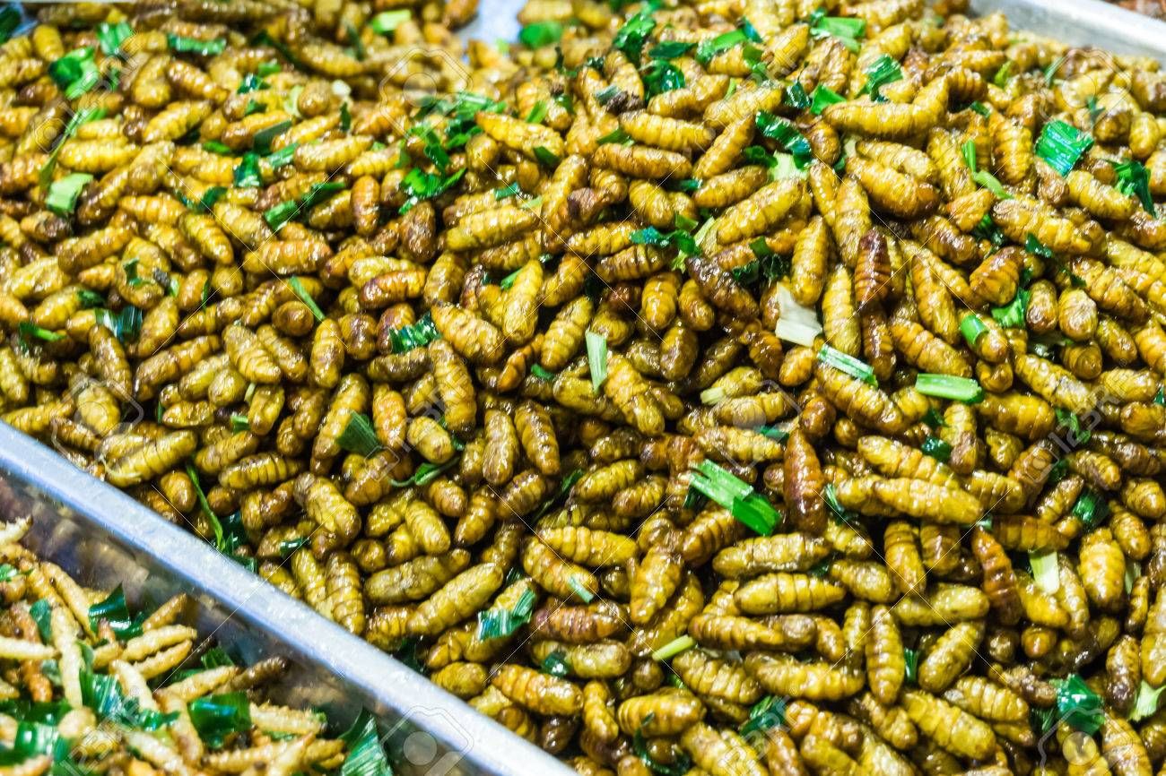 insect-alternative-protein-market-report-2021-2028