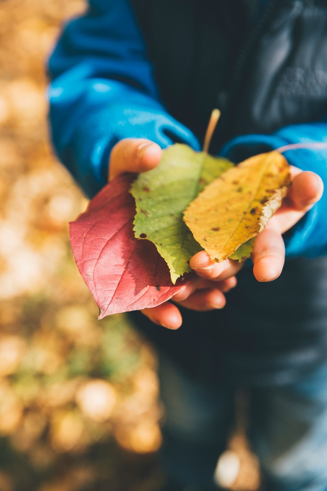 implications of environmental education for sustainable development
