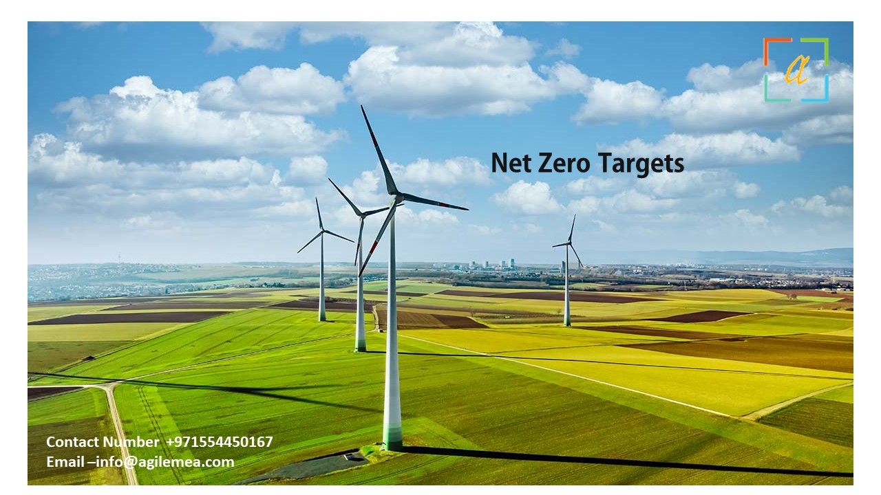 Net Zero consultancy