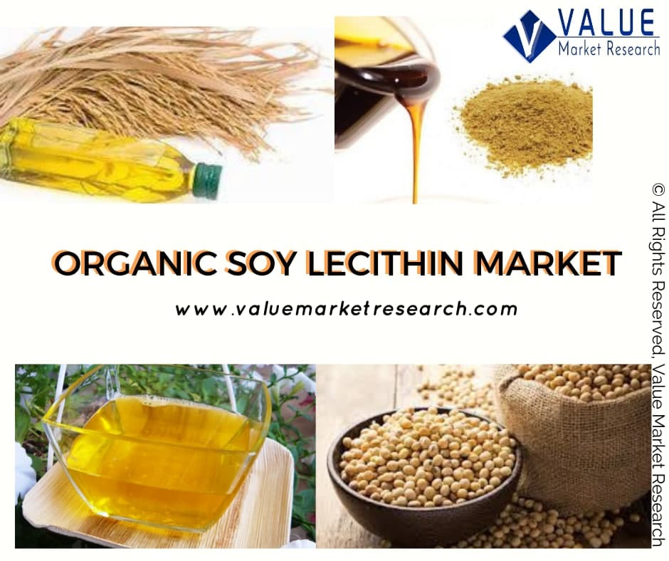 Organic Soy Lecithin Market Share, Forecast Report to 2028