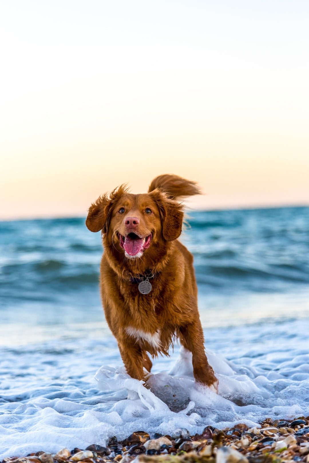 Photo by Oscar Sutton on Unsplash