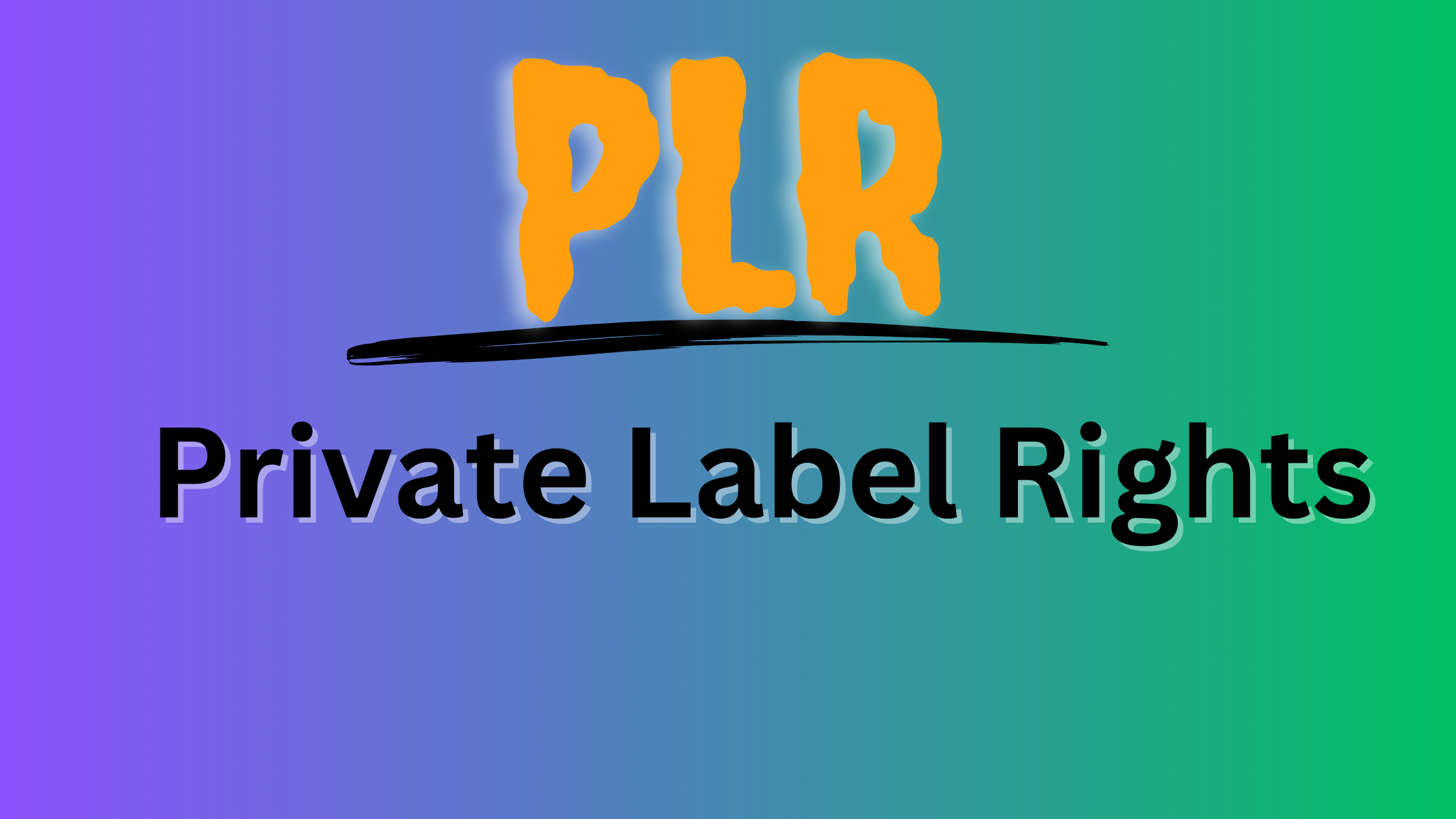 What Is Plr Digital Products.