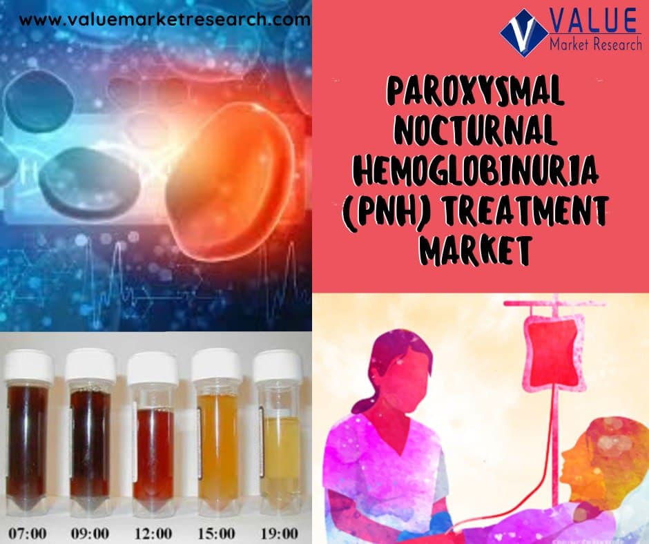 Paroxysmal Nocturnal Hemoglobinuria Pnh Treatment Market Share