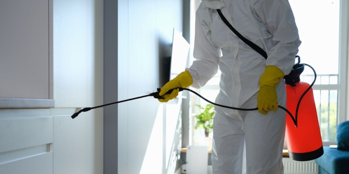 Pest Control Services in Saudi Arabia for Apartments