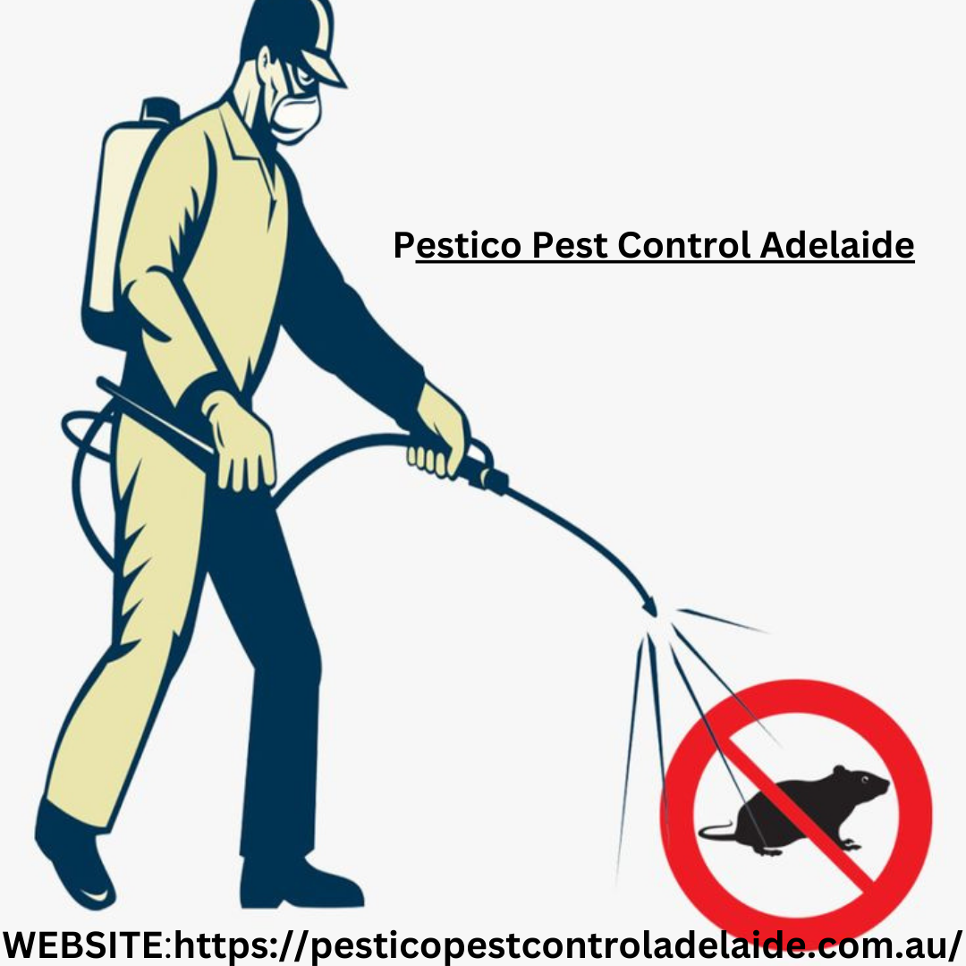 How to Choose the Best Pest Control Company