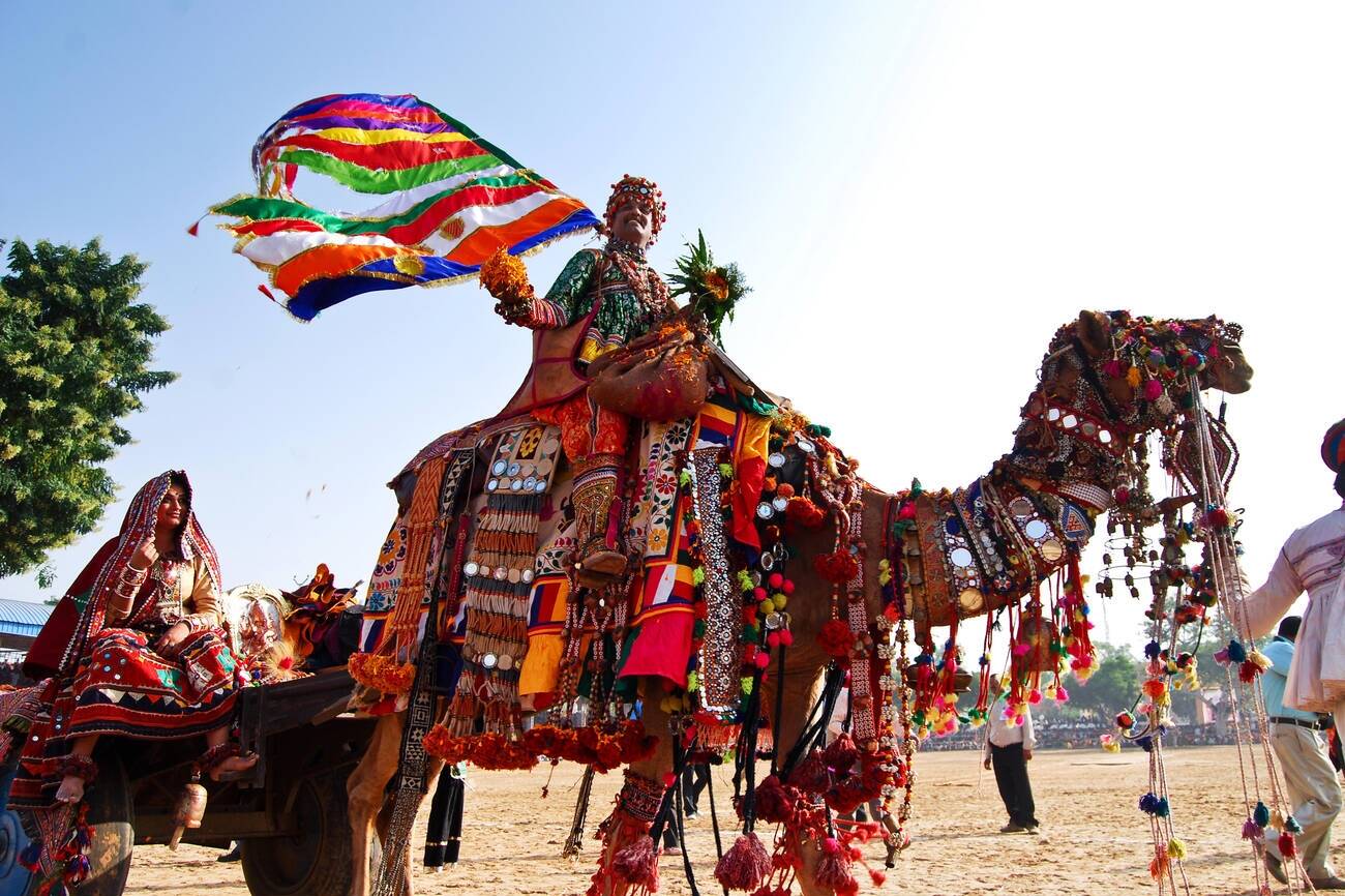 Pushkar Camel Fair in Rajasthan 2024