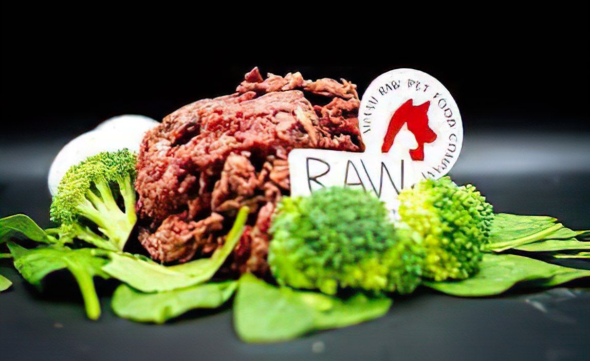 Boosting Muscle Health How Raw Beef Can Benefit Active Miami Dog boosting-muscle-health-how-raw-beef-can-benefit-active-miami-dog