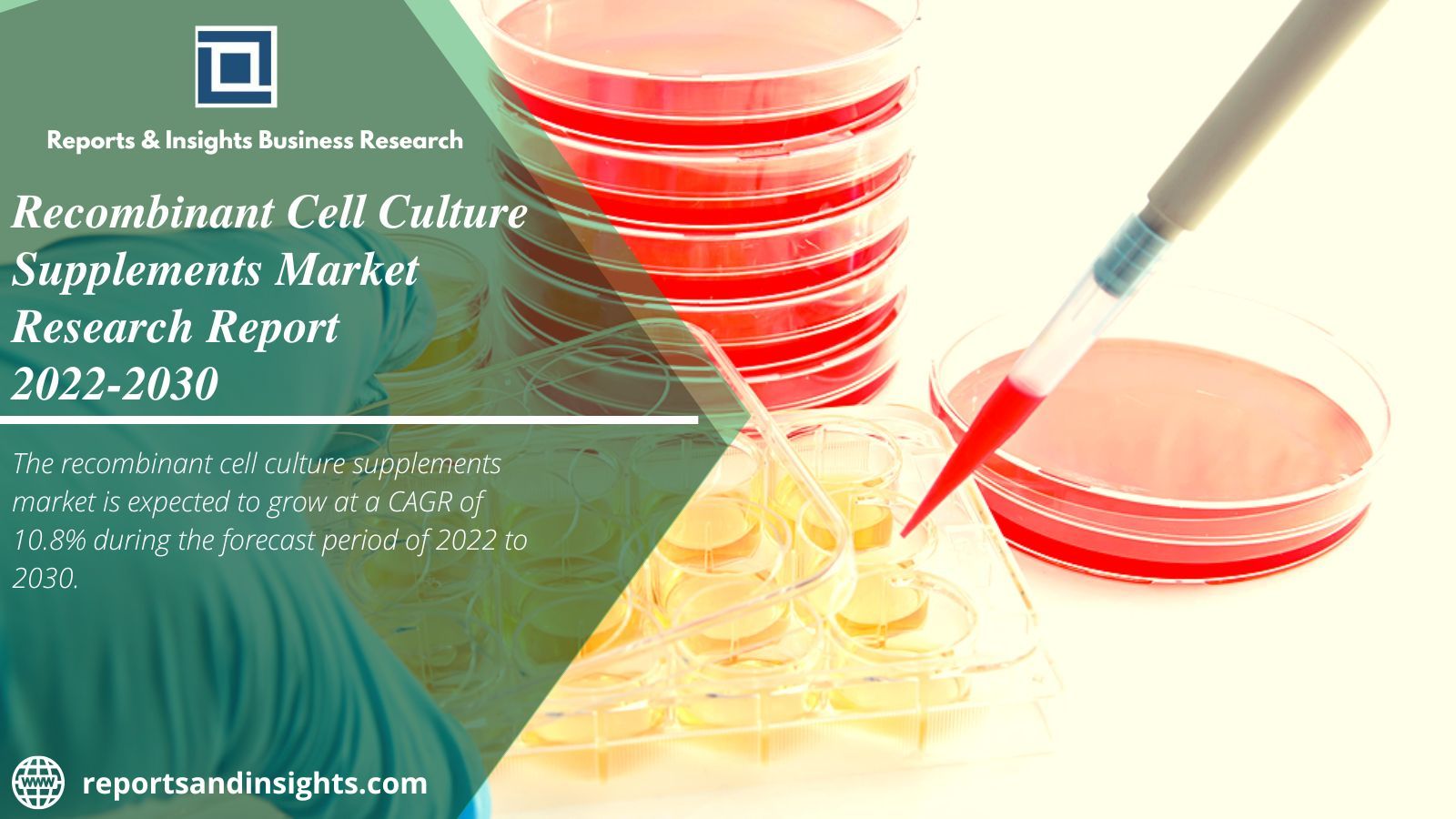 Recombinant Cell Culture Supplements Market Growing Cagr 10.8%