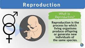 Reproduction