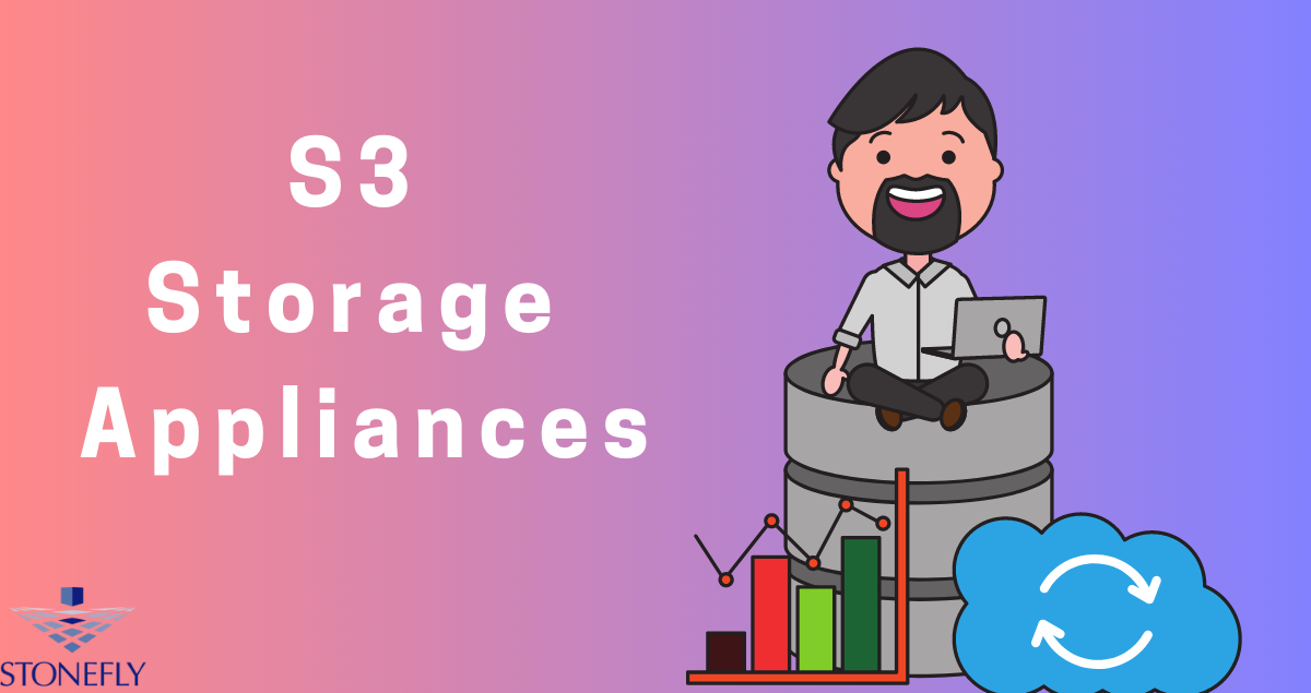 S3 Storage Appliance Ultimate Security for Your Data Storage