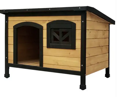 outdoor dog kennel