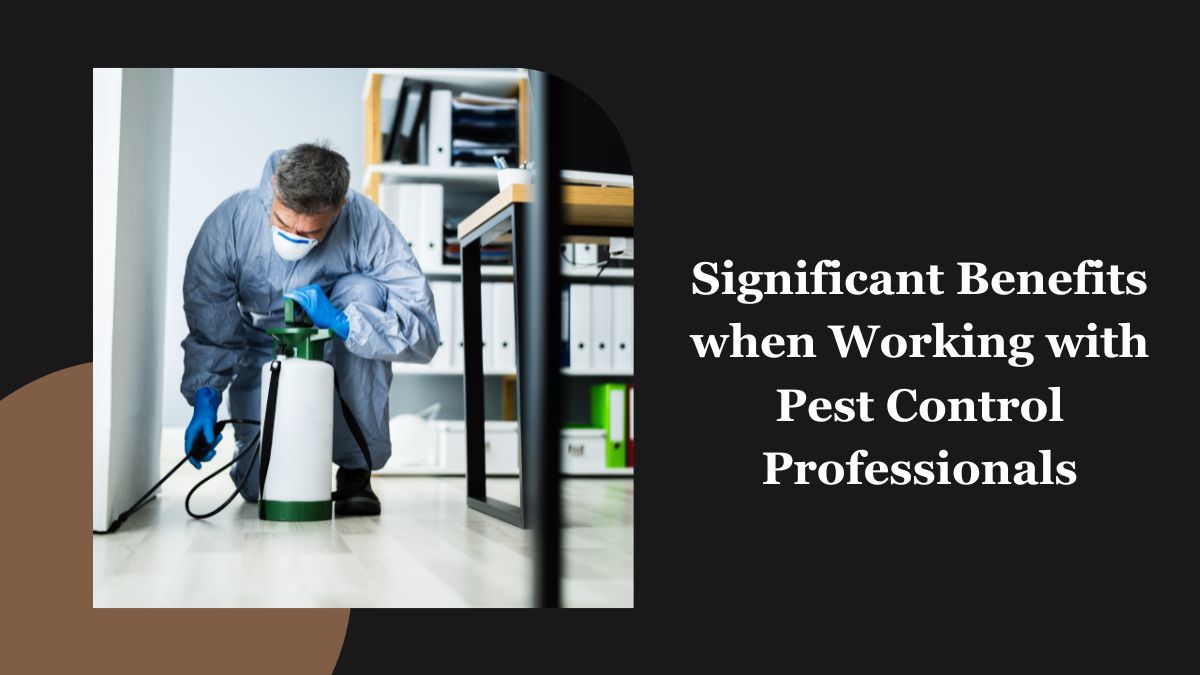 pest control
