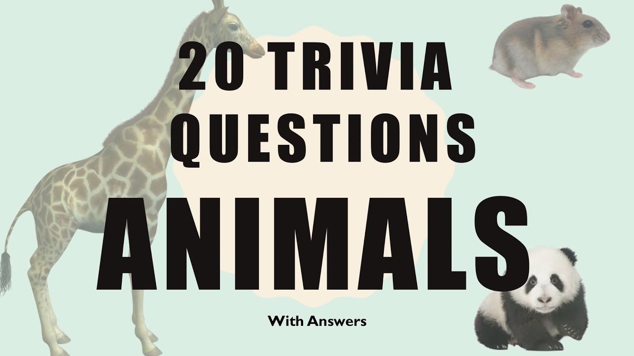 Some Animal Trivia Questions You May Don't Now Some Animal Trivia Questions You May Don't Now