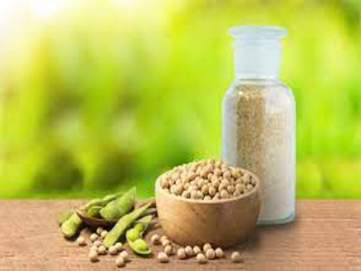 Soy Protein Concentrate Market Share & Forecast Report to 2028