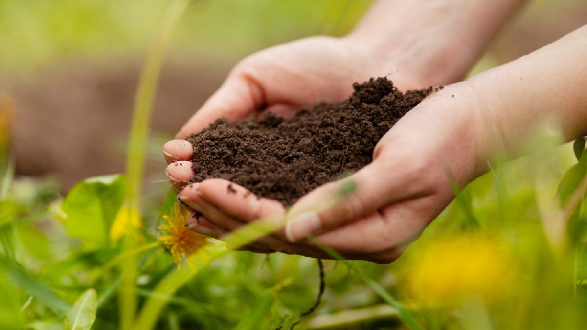 Sustainable Farming Practices